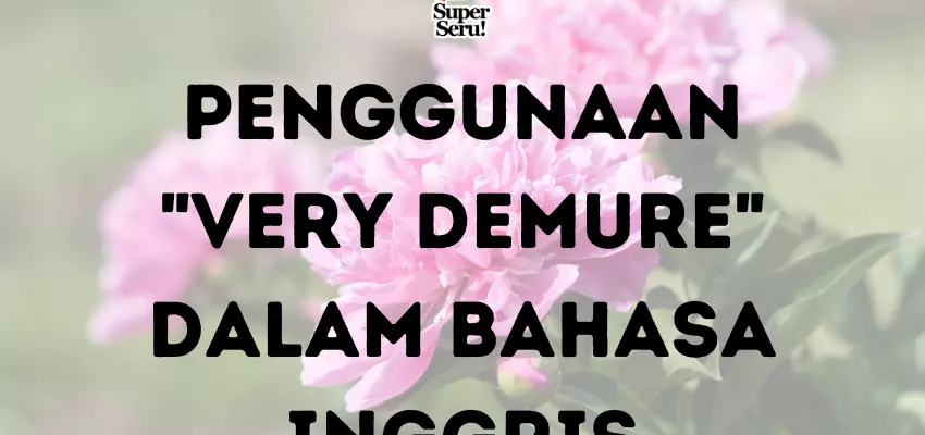 Penggunaan Very Demure dalam Bahasa Inggris - Mr.BOB Kampung Inggris