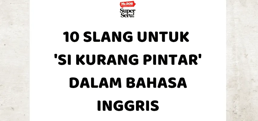 10 Slang untuk 'Si Kurang Pintar' dalam Bahasa Inggris - Mr.BOB Kampung Inggris