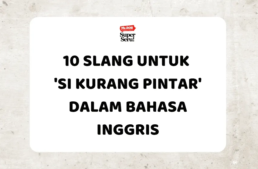 10 Slang untuk 'Si Kurang Pintar' dalam Bahasa Inggris - Mr.BOB Kampung Inggris