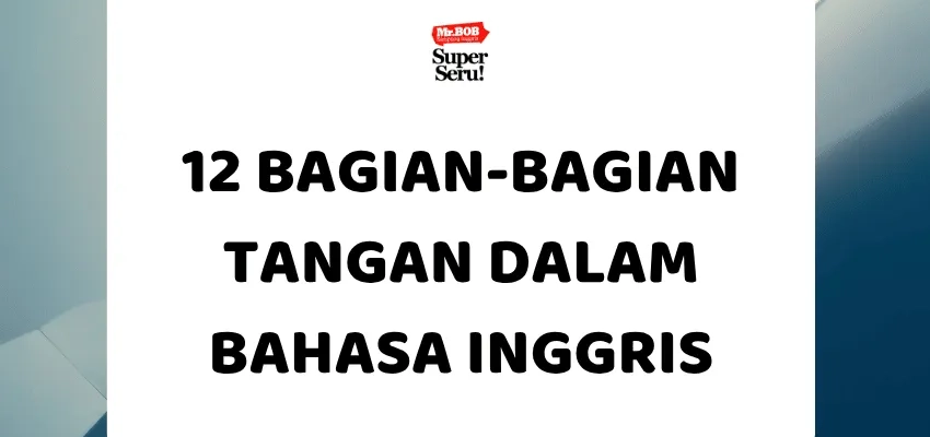 12 Bagian-Bagian Tangan dalam Bahasa Inggris - Mr.BOB Kampung Inggris