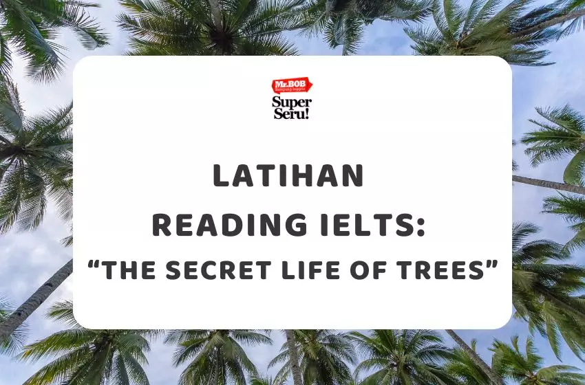 Latihan Reading IELTS Teks “The Secret Life of Trees” - Mr.BOB Kampung Inggris